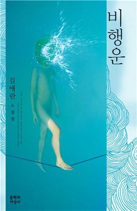 비행운
